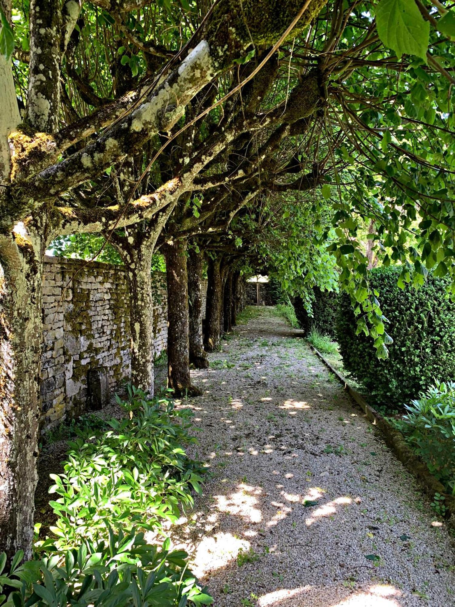 Le Clos Du Marronnier Rivieres-les-Fosses エクステリア 写真